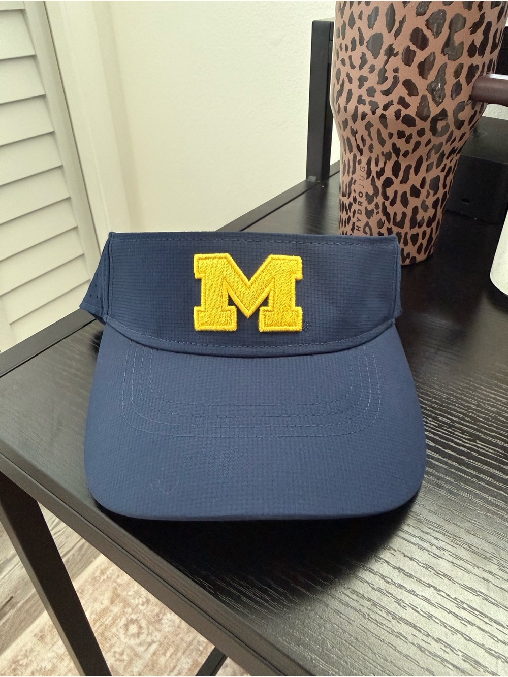 Michigan Wolverines Jordan Dri-FIT visor 💙💛